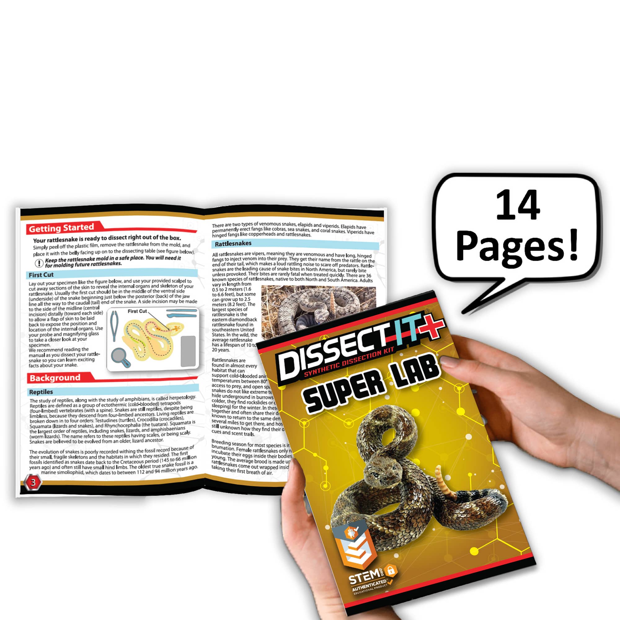 Dissect It Rattlesnake Super Lab Kit